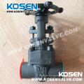 Forged Bronze Gate Valves (CL800)